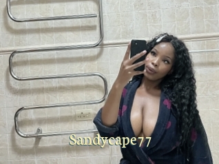 Sandycape77