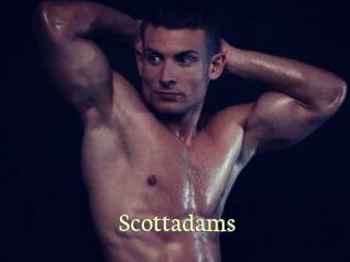 Scottadams