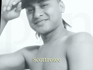 Scottrosee