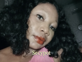 Secypot