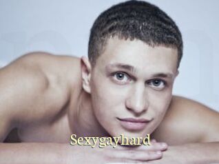 Sexygayhard