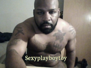 Sexyplayboytoy