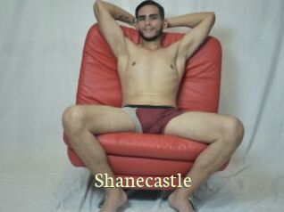 Shanecastle