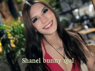 Shanel_bunny_real