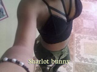 Sharlot_bunny