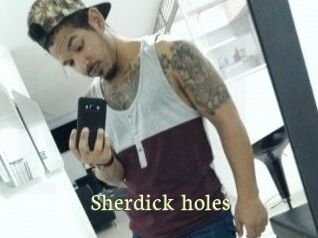 Sherdick_holes