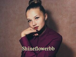 Shineflowerbb