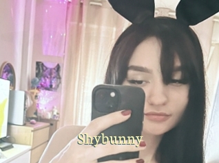 Shybunny