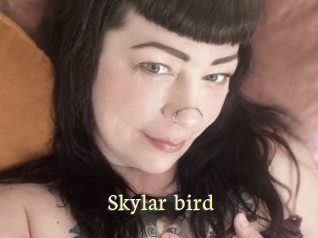 Skylar_bird