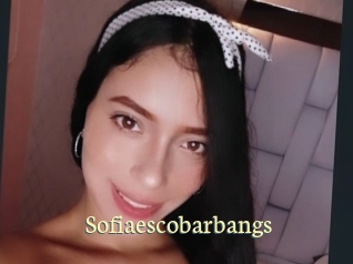 Sofiaescobarbangs