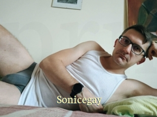 Sonicegay