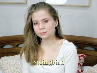 Springbird