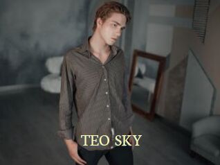 TEO_SKY