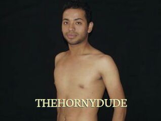 THEHORNYDUDE