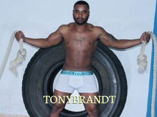 TONYBRANDT