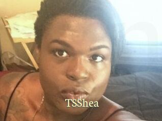 TS_Shea