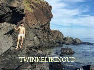 TWINKELIKINGUD