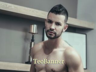 TeoBanner