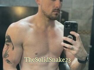 TheSolidSnake23