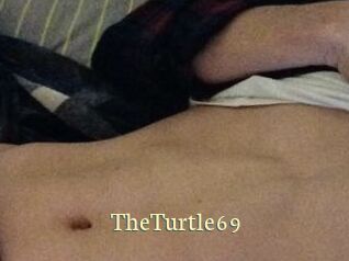 TheTurtle69