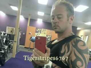 Tigerstripes6767