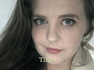 Tiigre_