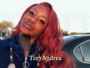 TinyAndrea