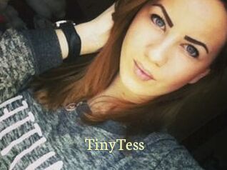 TinyTess