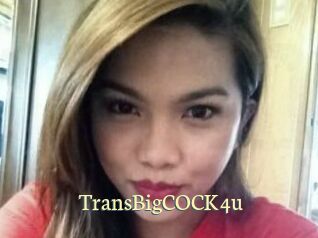 TransBigCOCK4u