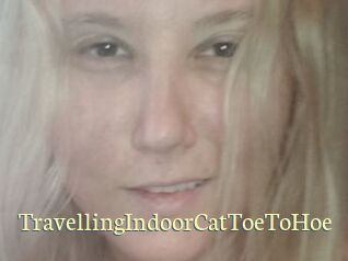 TravellingIndoorCatToeToHoe