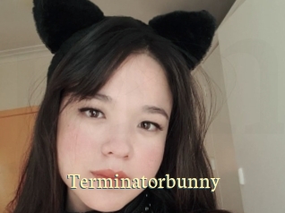 Terminatorbunny