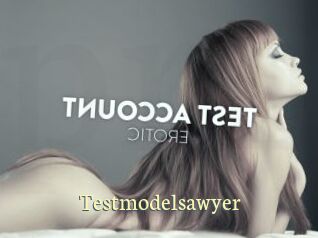 Testmodelsawyer