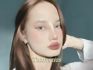 Thaivenus