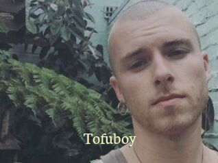 Tofu_boy