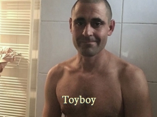 Toyboy