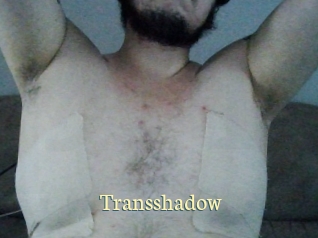 Transshadow