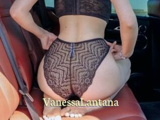 VanessaLantana