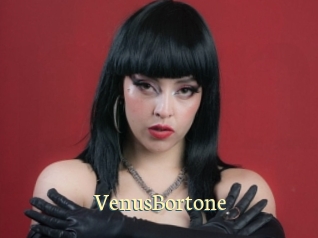 VenusBortone