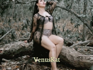 VenusKat