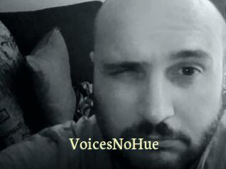 VoicesNoHue