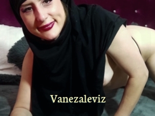 Vanezaleviz