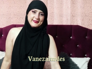 Vanezalurdes