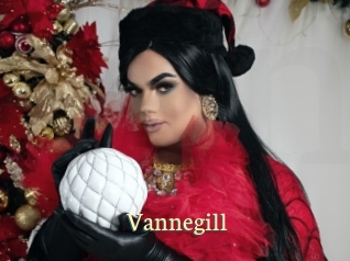 Vannegill