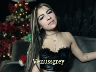 Venussgrey