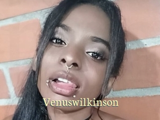 Venuswilkinson