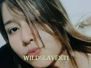 WILDSLAVEKTI