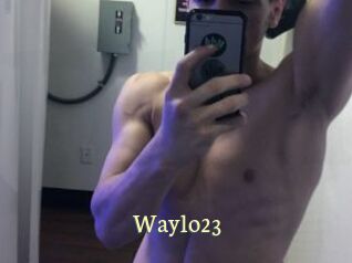 Waylo23