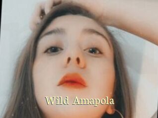 Wild_Amapola