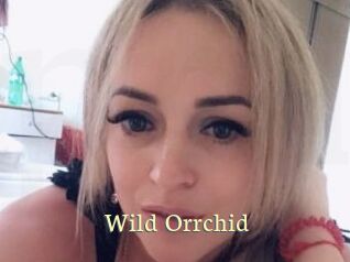 Wild_Orrchid