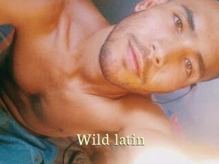 Wild_latin